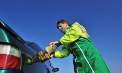 Lorem ipsum dolor sit