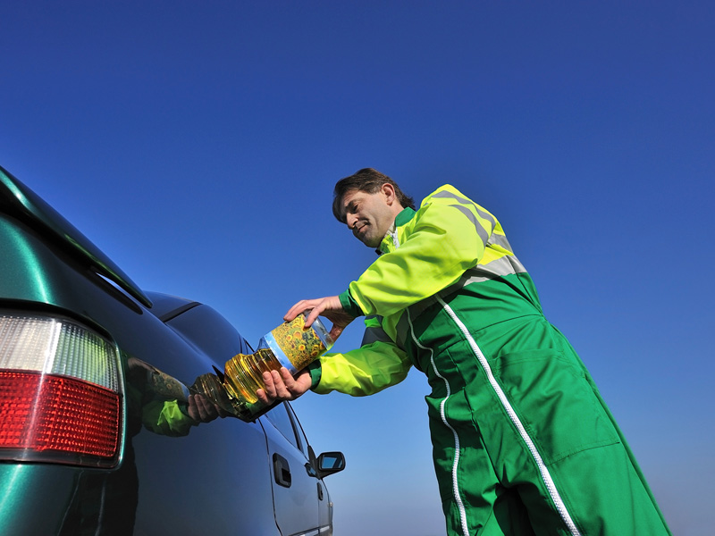 Lorem ipsum dolor sit