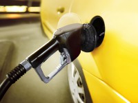 Etiam commodo convallis