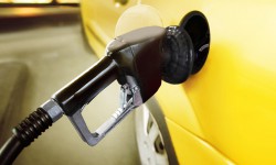 Etiam commodo convallis